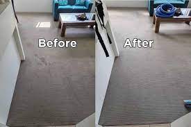 all natural carpet cleaning llc reviews