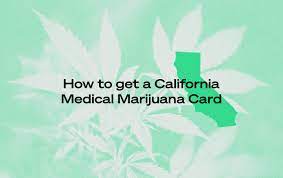 A law called the haleigh's hope act.it permitted access to cannabis oil with up to 5% thc. How To Get A California Medical Marijuana Card Leafwell