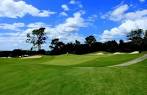 Twisted Oaks Golf Club in Beverly Hills, Florida, USA | GolfPass