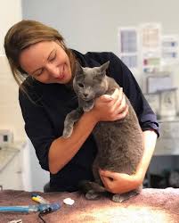 Mundelein animal hospital has proudly been serving the pets and pet owners of the mundelein, il mundelein animal hospital. Riverstone Veterinary Hospital Pet Consultation Vaccinations Surgery