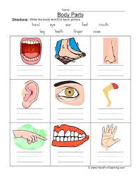 I hope you find this identify the body parts learning worksheet helpful. Body Parts Worksheet Have Fun Teaching