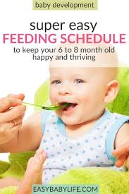 Super Easy Feeding Schedule For 6 To 8 Month Old Babies To