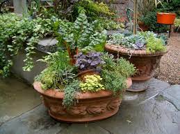 4 Herb Container Gardens For Fabulous