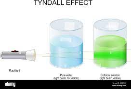 tyndall effect science experiment with