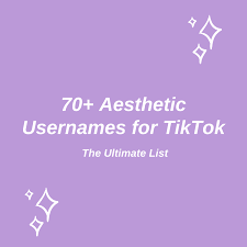 70 aesthetic usernames for tiktok the