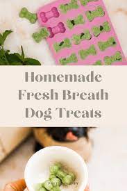 diy doggy breath mints homemade fresh