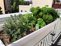 Philadelphia Rowhouse Urban Rooftop