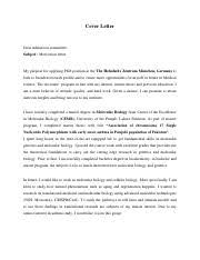 application letter pdf cover letter