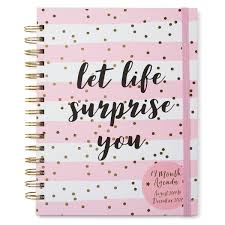 Let Life Surprise You 2019 2020 17 Month Agenda Weekly Planner Personal Organizer Pink