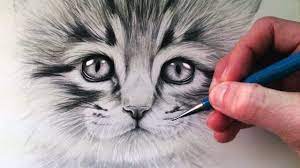 how to draw a kitten you