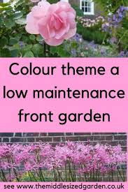 low maintenance front garden ideas