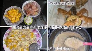 homemade cat food ll en gravy ll