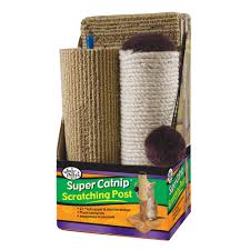 super catnip carpet and sisal cat