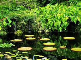 florida s best botanical gardens