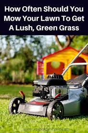 Maybe you would like to learn more about one of these? Go Green Lawn Care Reviews Homes Of Heaven