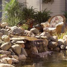 how to build a low maintenance pond