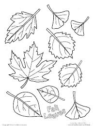 Printable Leaf Template Wakacyjnie Info