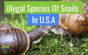 what are the illegal species of snails