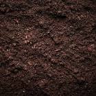 soil image / تصویر
