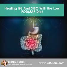 Healing Ibs And Sibo With The Low Fodmap Diet