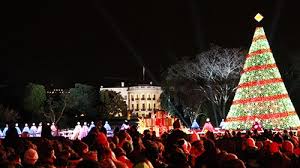 National Christmas Tree Presidents Park White House