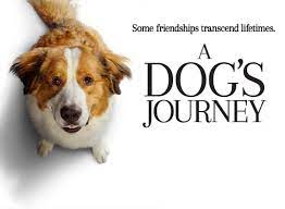 Plus, it has 100% less dead homeless man scenes and giant cgi cougars. Cancer Fighting Dogs Honoured As Movie Stars In Universal Pictures A Dog S Journey Dog Accessories