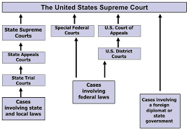 Us Court System Diagram Wiring Schematic Diagram