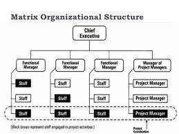 Lenovo Matrix Organization Structure Homework Example