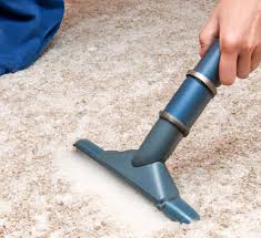 carpet cleaning service naturally