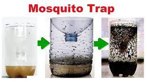 eco friendly mosquito traps