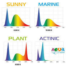 Спектры разных ламп