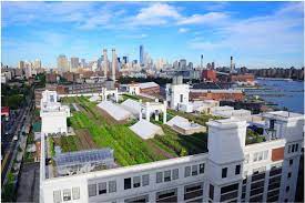 Brooklyn Grange Is The Leading Rooftop