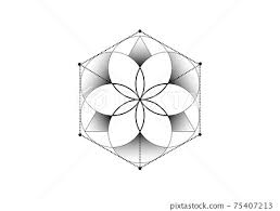 flower of life sacred geometry symbol