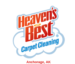 rug cleaning companies in alaska