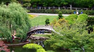 File Bridge Japanese Garden 7320648832