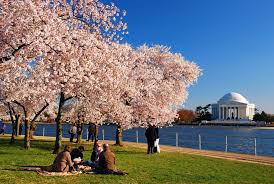 Best places to live near dc. The 13 Best Places To Eat And Drink In Washington D C Mental Floss