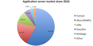 Most Popular Java Application Servers 2016 Edition Plumbr