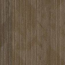 shaw mainstreet by philadelphia carpet