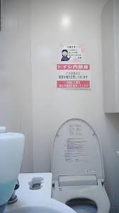 Japanese toilet - video 21 - ThisVid.com