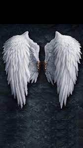 71 Angel Wings Wallpaper