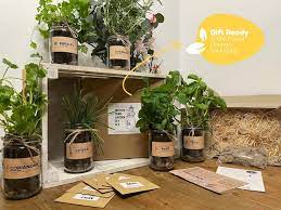Herbs Kit Eco Friendly Indoor Planters