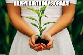 happy birthday soraya flip