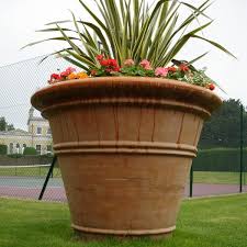 Extra Large Terracotta Standard Pot