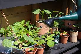 My Grow Your Own Vegetable Garden