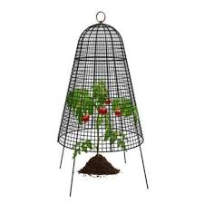 farmhouse bell cloche gardening naturally