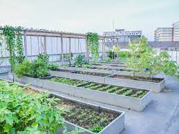 build a rooftop garden