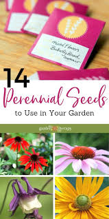 A number of perennials fit the starting from bulbs, day lilies grow up to 4 feet tall with big bright flowers available in almost every color imaginable. The 14 Best Perennial Flower Seeds To Use In Your Garden