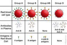 Blood Types Chart Blood Types Blood Type Chart Medical