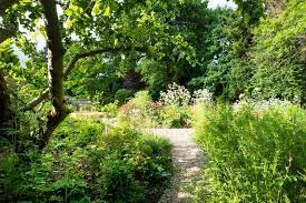 Landscape Design North London Garden