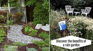 Rain Garden Benefits And Tips Divert